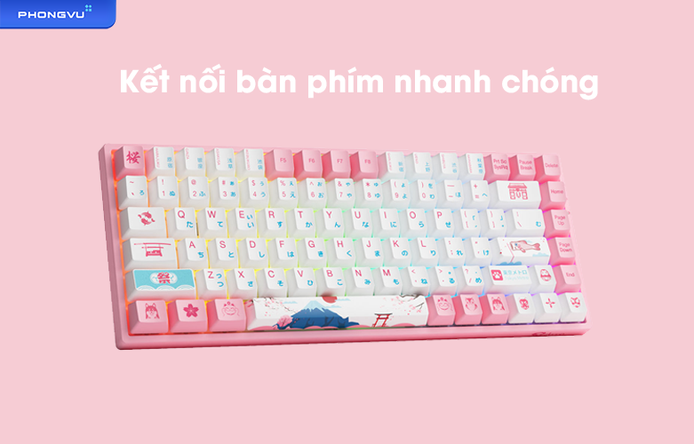 Bàn phím cơ không dây AKKO 3084B Plus World Tour Tokyo R2 | Khả năng kết nối