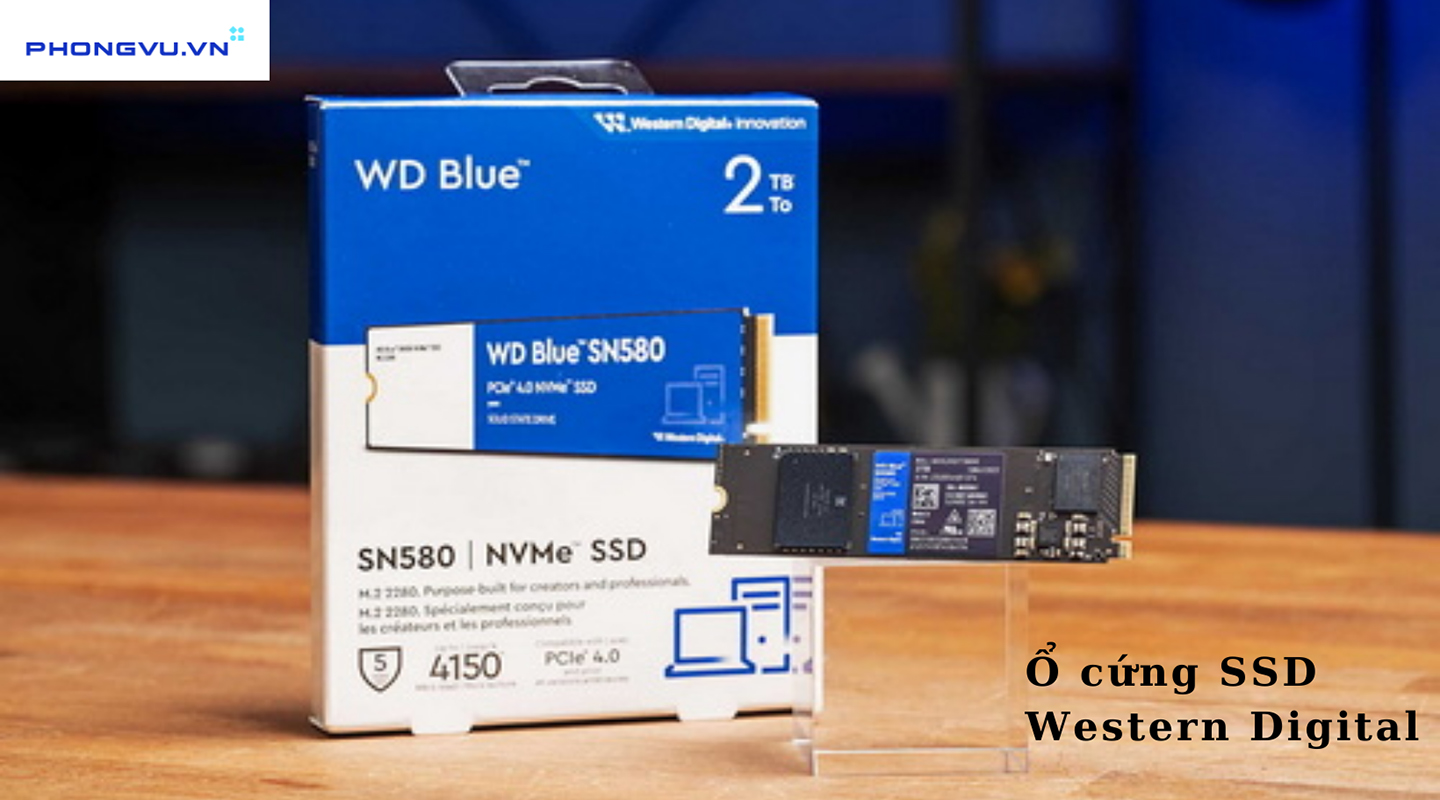 Ổ cứng SSD Western Digital