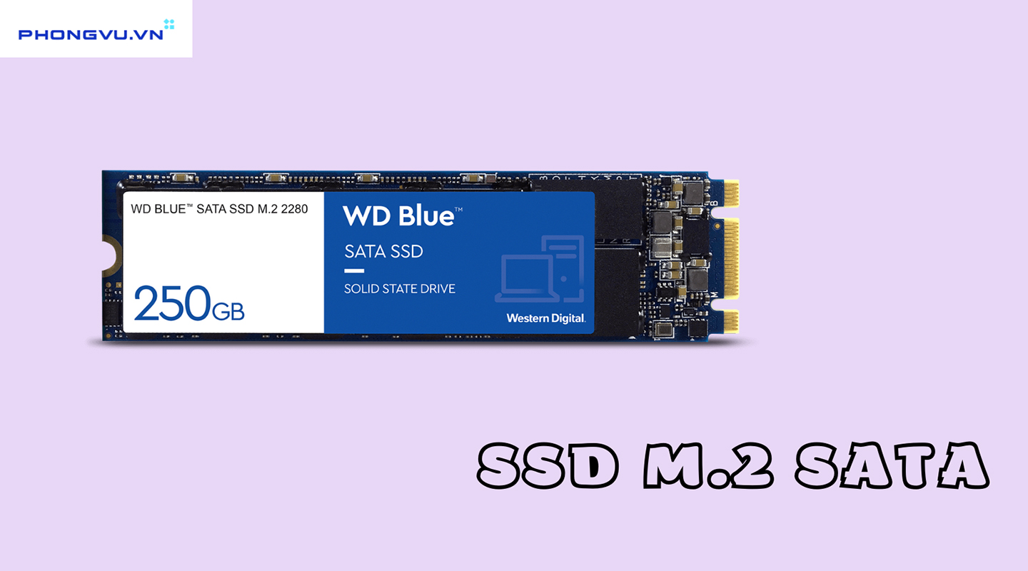 Sản phẩmSSD 500Gb Western Digital Blue WDS500G3B0A Sata 3 Chính Hãng