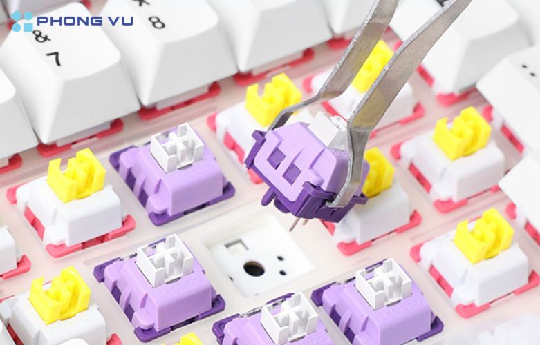 Sự kết hợp giữa độ bền, phản hồi nhanh và cảm giác gõ êm ái của Reaper switch làm cho AULA F99 trở thành lựa chọn lý tưởng cho cả game thủ và người dùng văn phòng