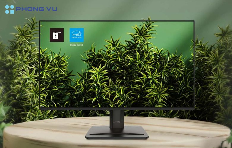 Hình ảnh trên màn hình MSI MP251 E2 được hiển thị sắc nét nhờ độ phân giải FHD