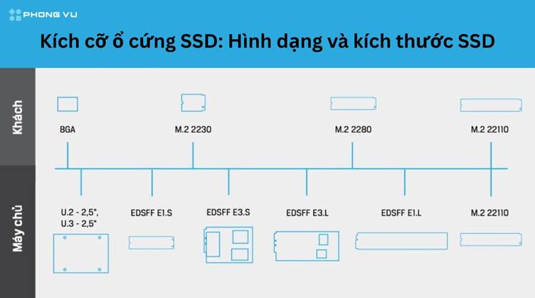 Kích thước M.2 phổ biến tương thích tốt với các thiết kế của các bo mạch và ổ cứng lưu trữ di động