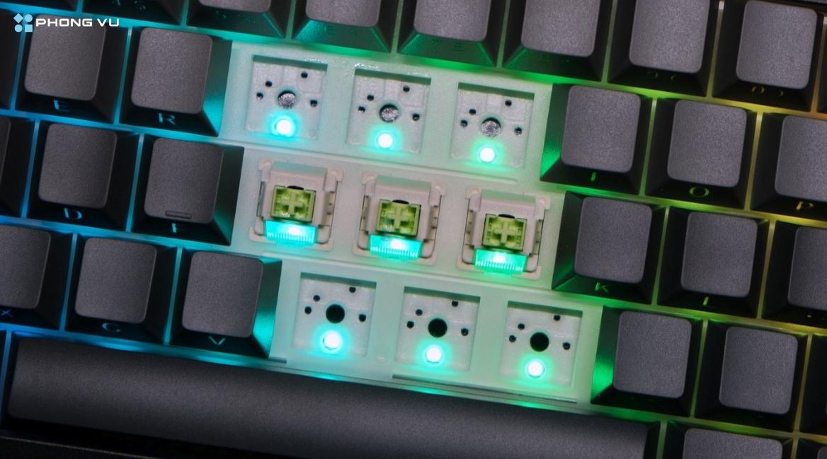 F75 series được trang bị các loại switch chất lượng cao như Reaper Linear, Seiya hoặc Star Vector