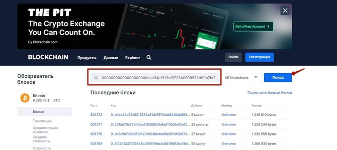 Ввод хеша транзакции в поисковую строку Блокчейн инфо 