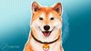 Shiba Inu