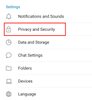 Select the section "Privacy"
