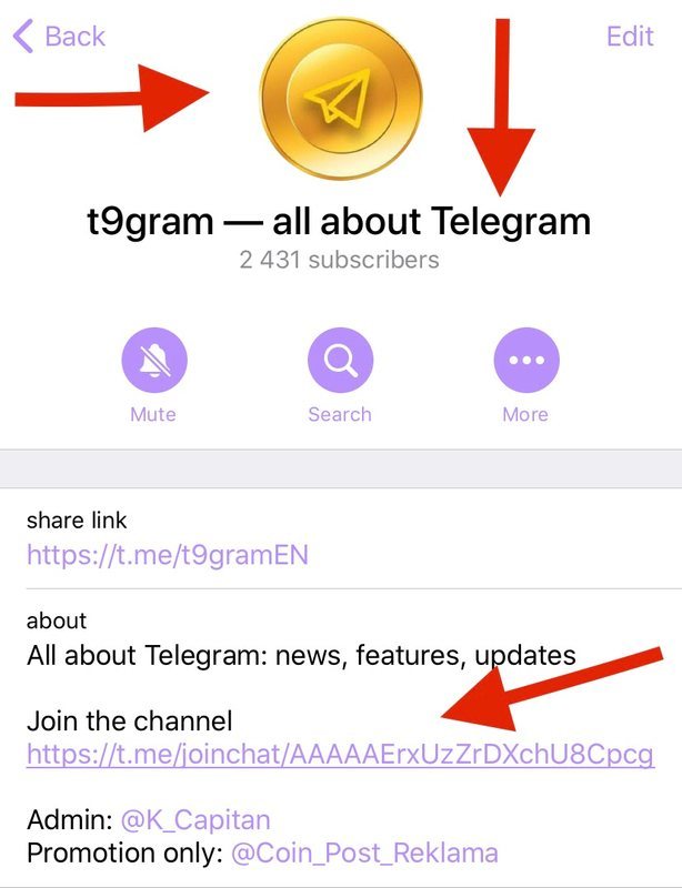 Link telegram