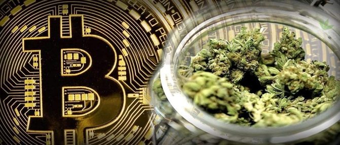 Каннабис или биткоин