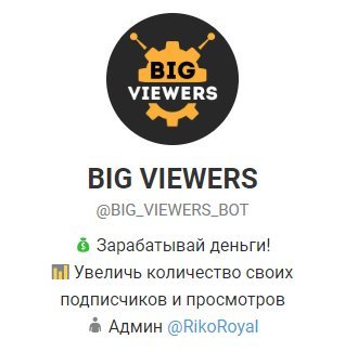 BIG VIEWERS