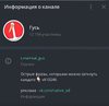 Канал Гусь