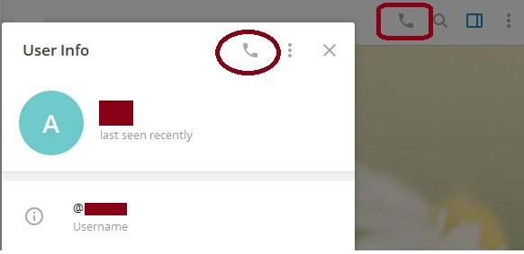 Способы звонить в Телеграм через компьютер
