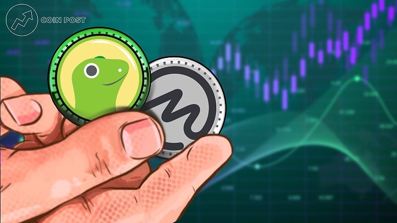 Листинг мемефи коин. COINMARKETCAP И COINGECKO. Коин Маркет кеп. Сервиса COINGECKO. Коинмаркеткап криптовалюта.