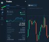 Tracking the status of a position on the chart and through the "Transactions" menu