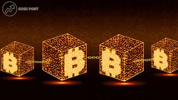 Форки биткоина