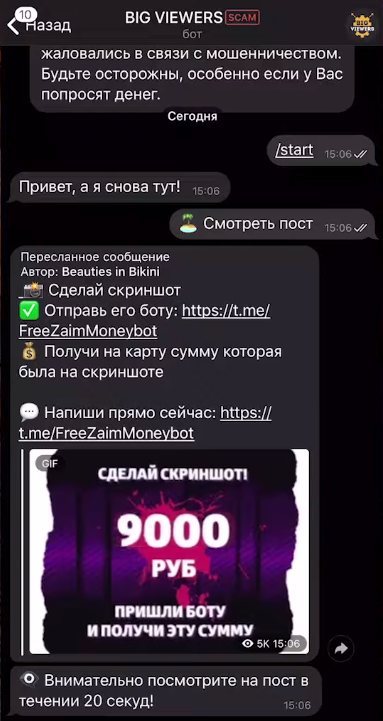 Меню бота для заработка BIG VIEWERS