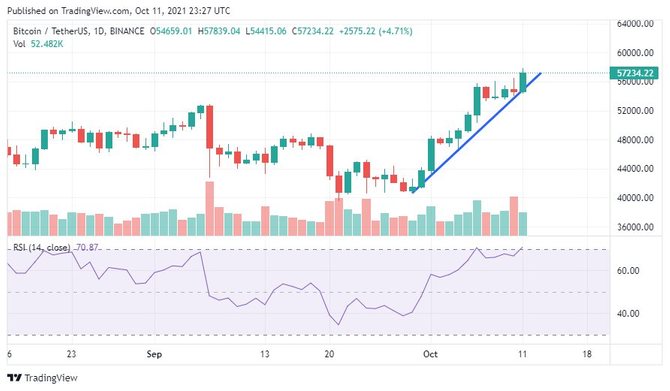 Notcoin что дальше. ТУЗЕМУН биткоина фото.