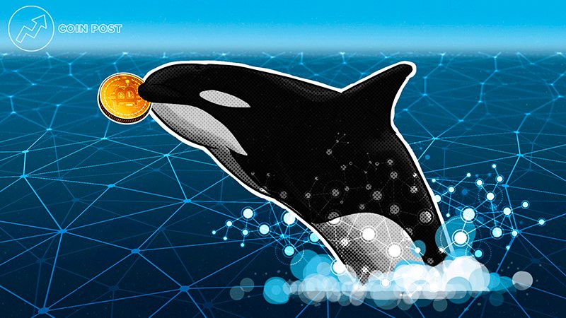 Исследование: на протяжении 2021 года «киты» накапливали биткоины