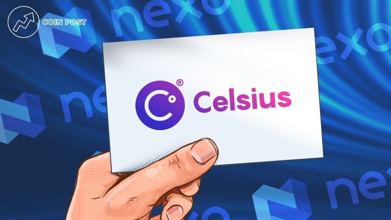 Celsius заявила о пробеле в балансе на $1,2 млрд