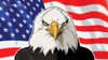 В США ожидают одобрения 92 криптоETF: Solana и XRP лидируют