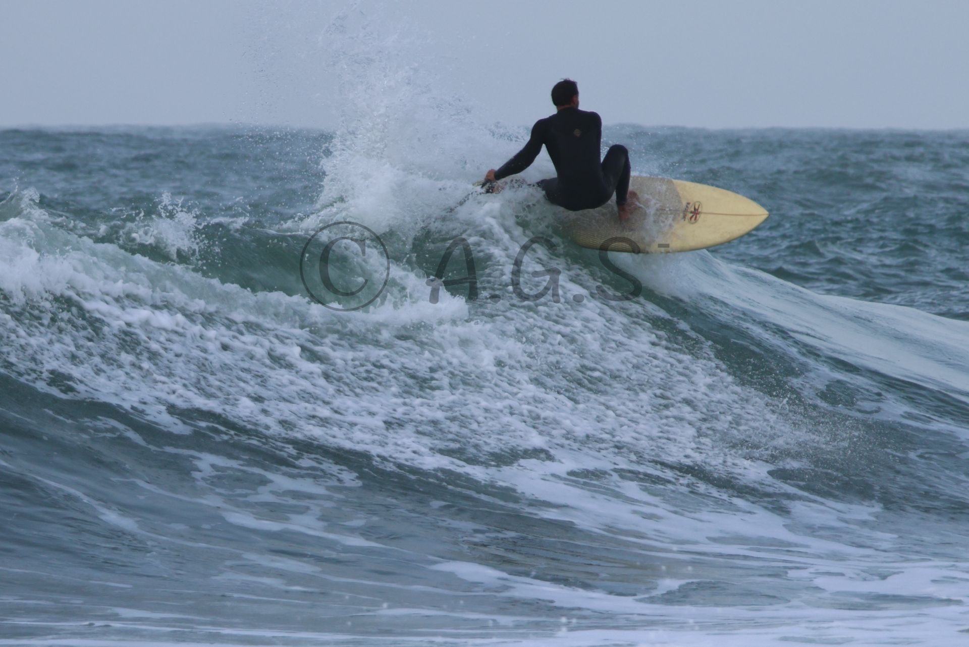 הילטון 24/1/26 - תמונות גלישה