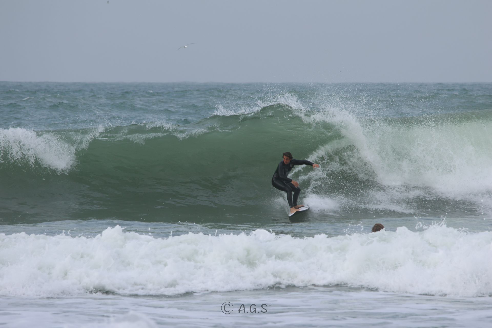 הילטון 24/1/26 - תמונות גלישה