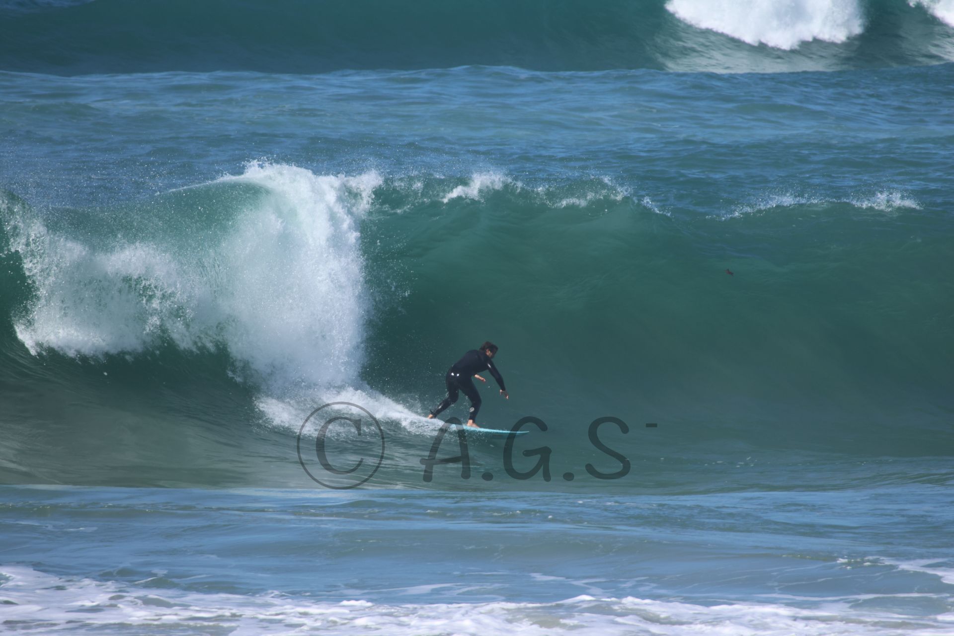 הילטון 31/1/26 - תמונות גלישה