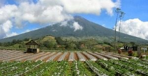 Gunung Slamet