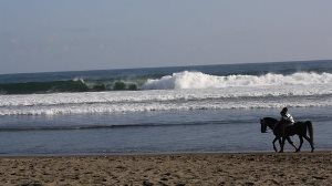 Pantai Petanahan