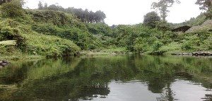 Telaga Pucung