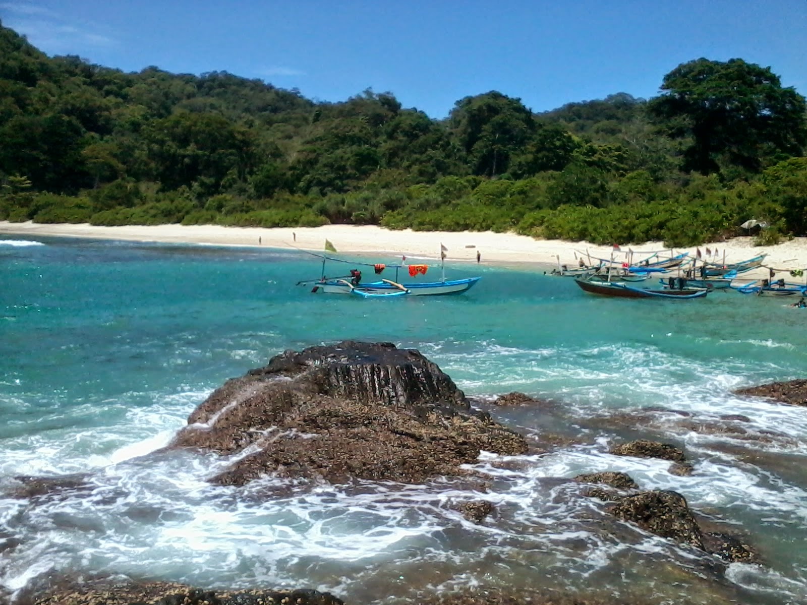 Pantai Wedi Ireng Tempatwisataunik Com