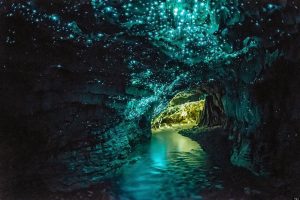 Glow Worm Cave