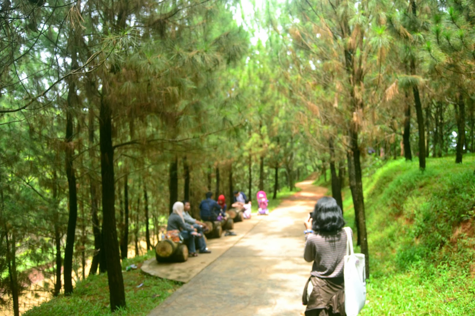 Danau Di Taman Hutan Kota Gading Serpong Tangerang