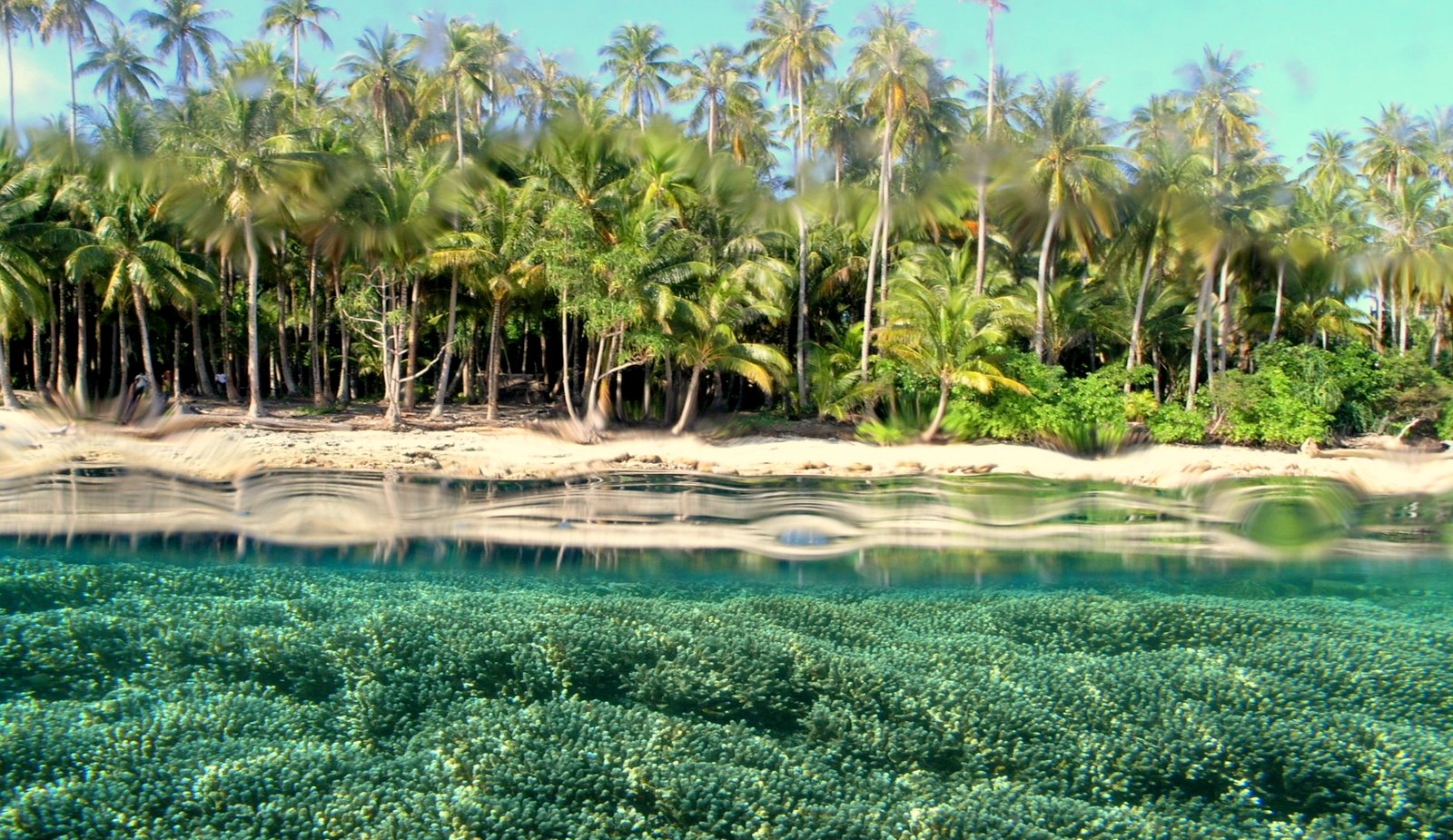 Ini Tempat Wisata Di Papua Yang Tersohor Kantor Imigrasi Kelas Ii Tpi Mimika