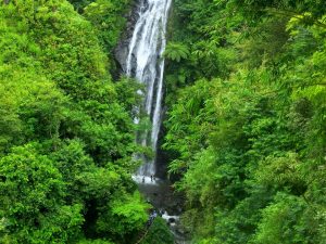 curug-muara-jaya