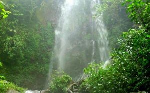 curug-sawer