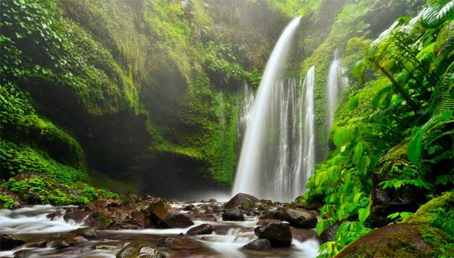 11 Wisata Air Terjun Di Lombok Yang Plaing Indah Dan Keren