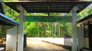 Taman Nasional Tangkoko