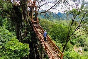 52 Wisata Murah Di Bogor Terbaru Dan Kekinian