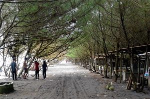 17 Pantai Dekat Malioboro Yogyakarta Tempatwisataunikcom