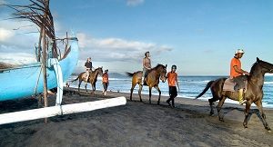 Bali Star Adventure