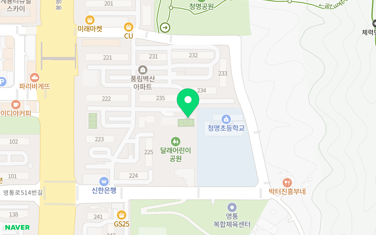 풍림테니스장 코트 사진