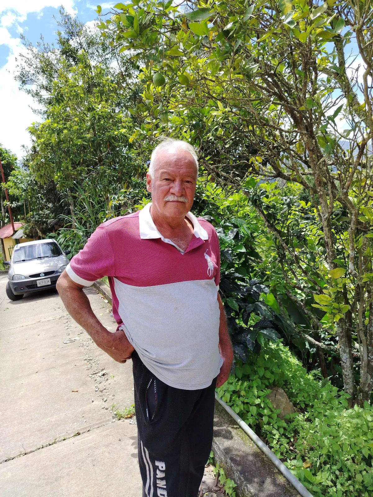 José Guidiño bastidas