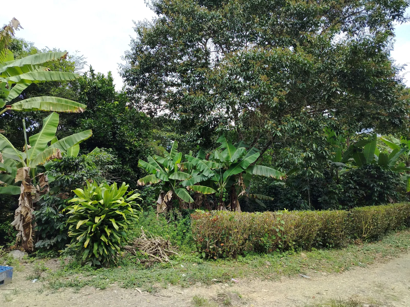 Finca la familia