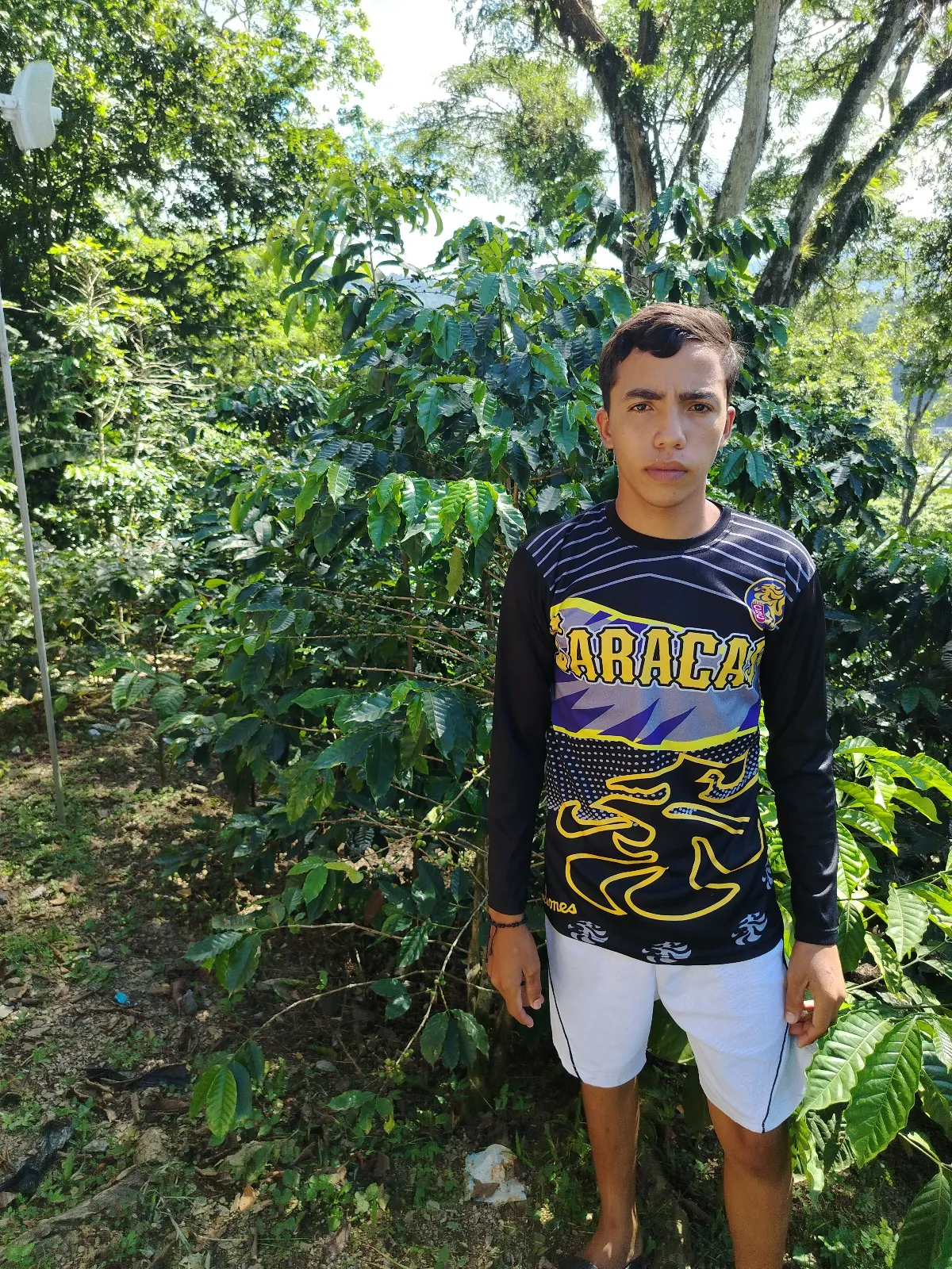 Alejandro Álvarez