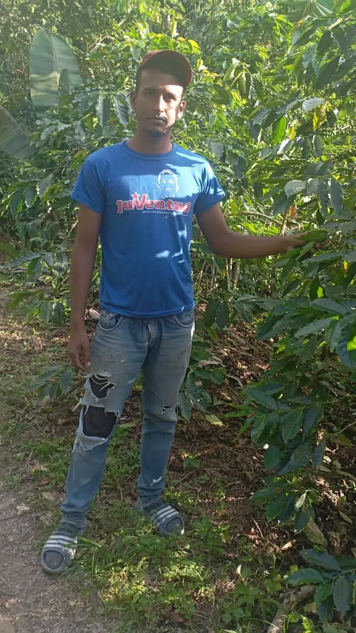 Luis Linares