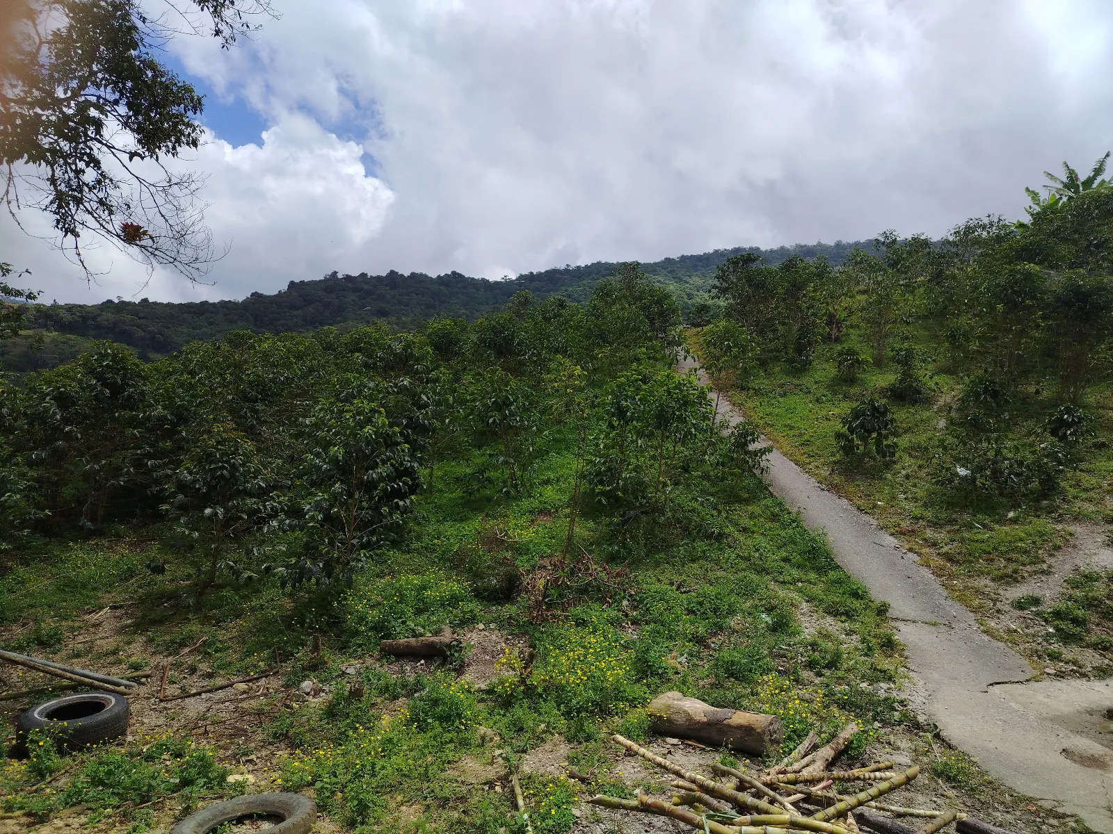 Finca Cándida