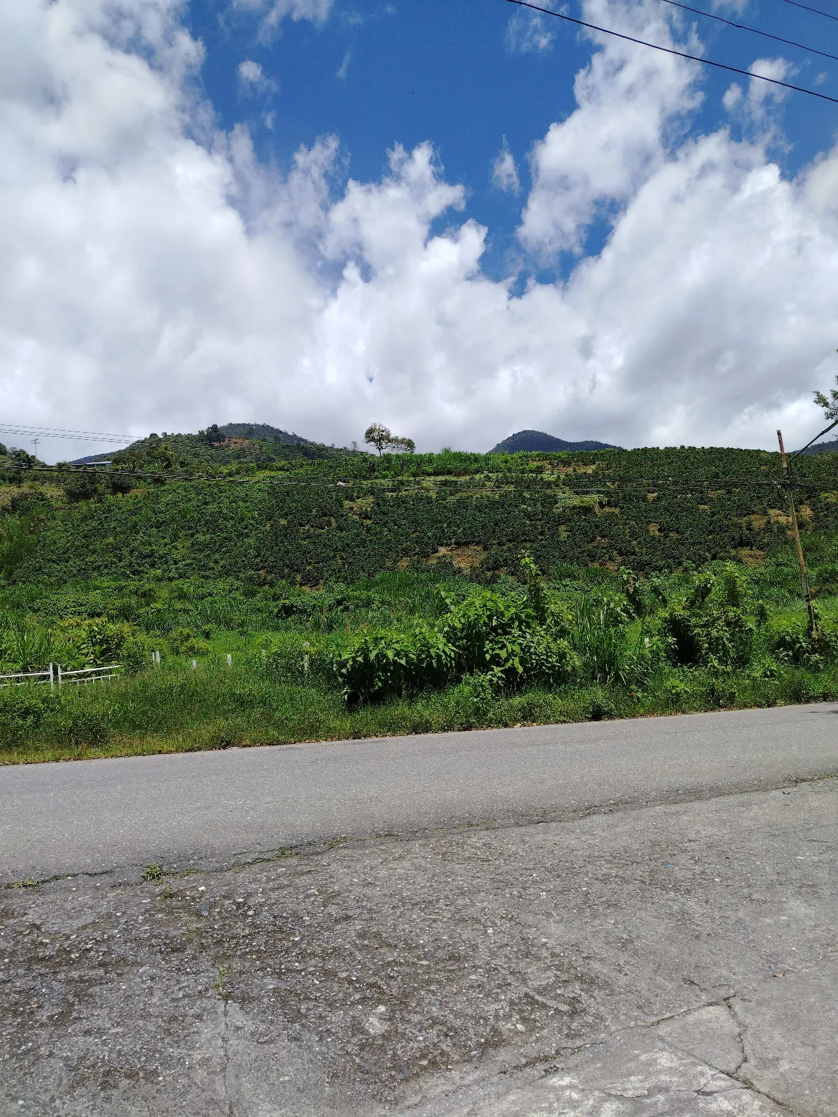 José Carrillo