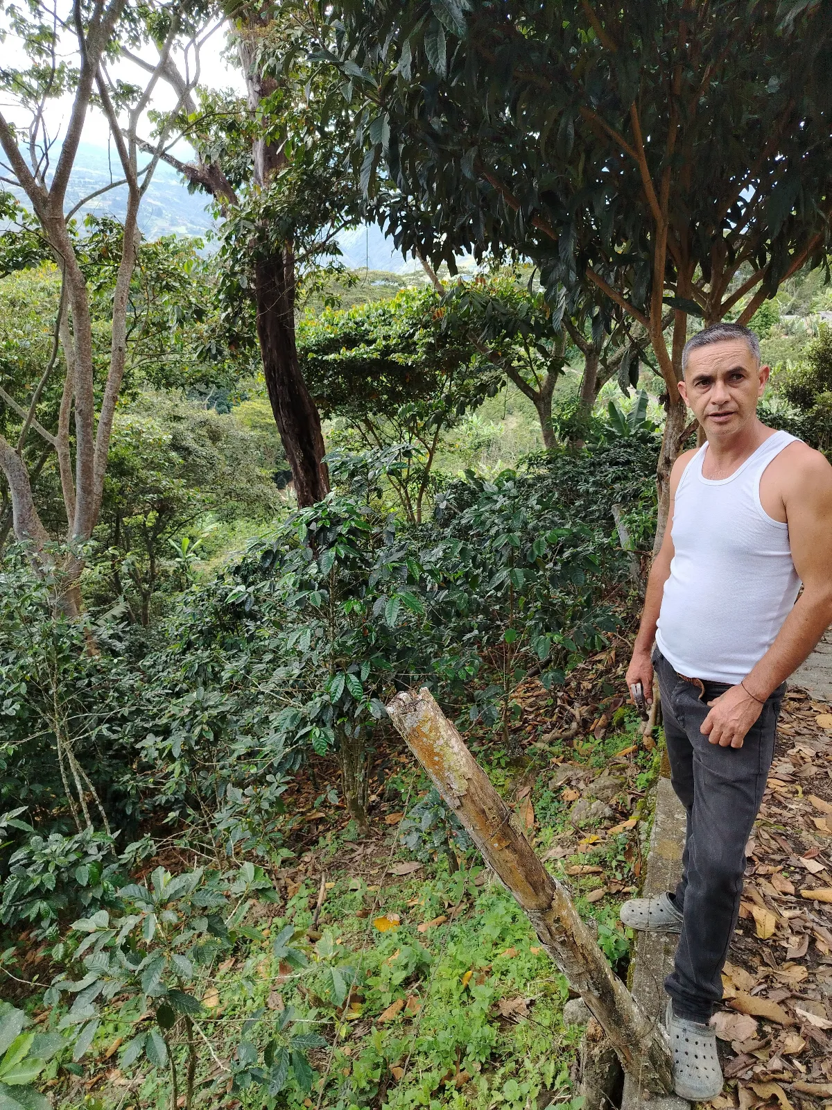 Guilberto Briceño