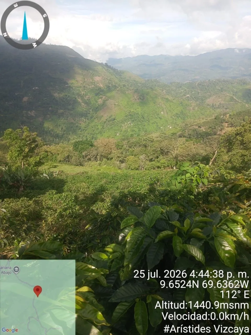 La Rosa