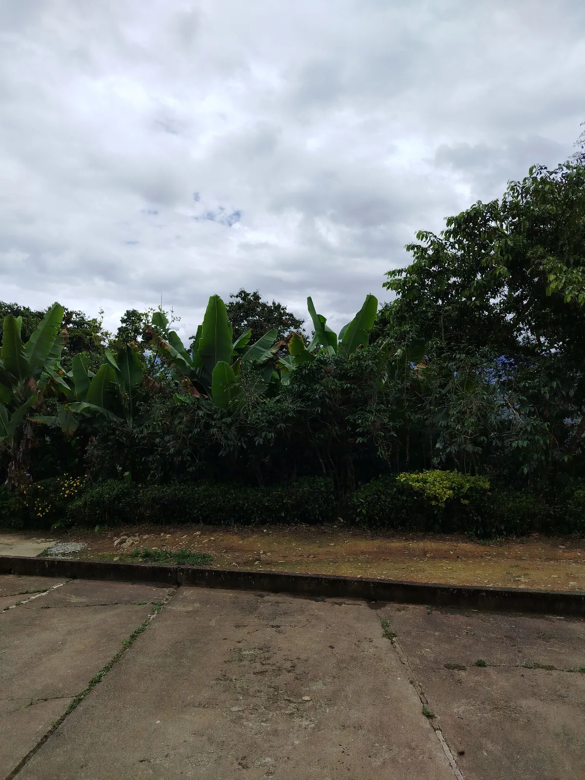 Finca San Benito
